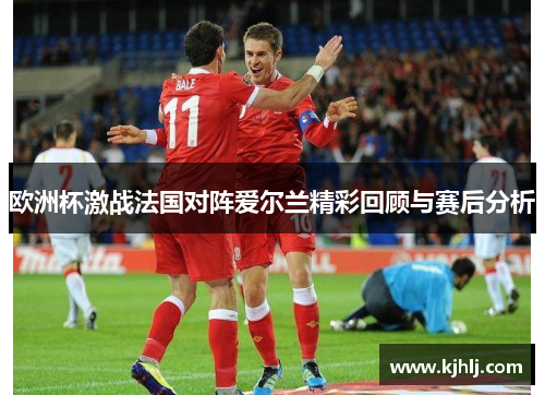 欧洲杯激战法国对阵爱尔兰精彩回顾与赛后分析