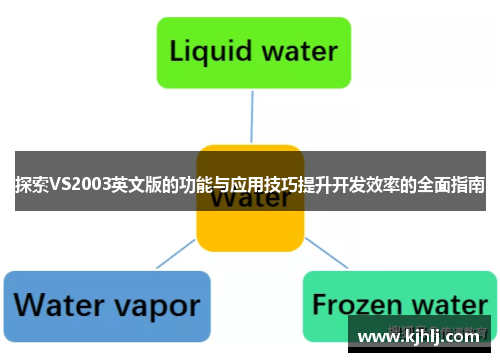 探索VS2003英文版的功能与应用技巧提升开发效率的全面指南